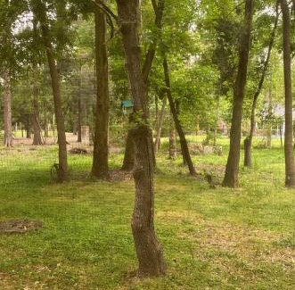 Brandsen House | Quinta en el Bosque