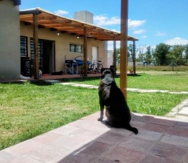 San Vicente House | Quinta La Hortensia y El Gauchito