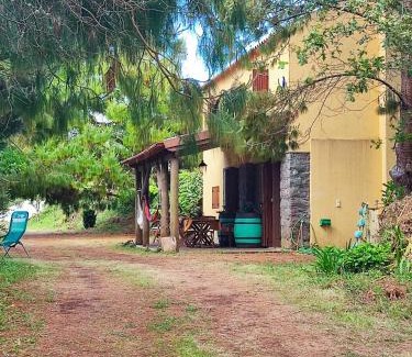 Santo da Serra House | Quinta Meneses