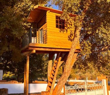 Castanheira de Pera Villa | Quinta Nova