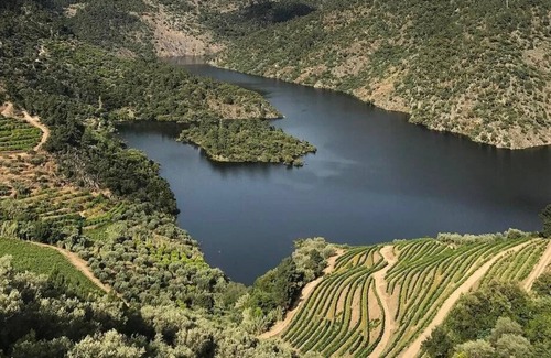 Cotas Other | Quinta Vila Rachel - Adega com Provas de Vinho