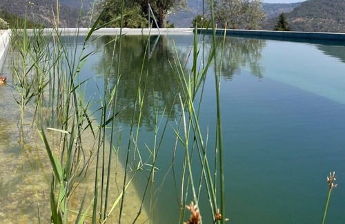 Cotas Other | Quinta Vila Rachel - Winery - Flora House