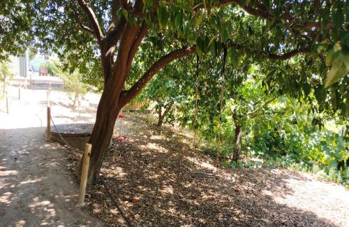 Ribadouro House | Quinta Vale do Cabo