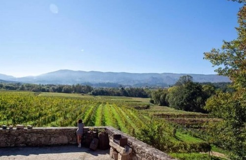 Moncao Apartment | Quinta Vila Nova - Apartment da Vinha | Agrotourism | Rural Environment