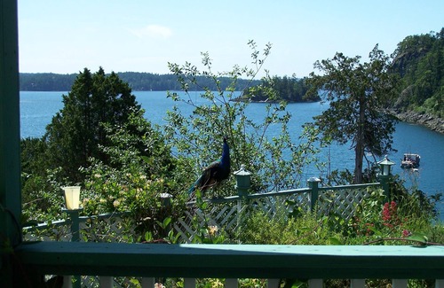 Deer Harbor House | Quintessential Island Getaway on Orcas Island. Gorgeous view! Starting at $199