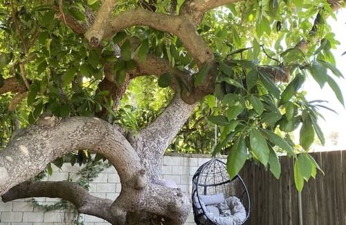 Montecito Cottage | Quintessential Montecito Cottage