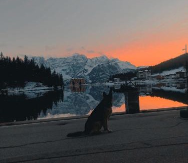 Misurina Hotel | Quinz - Locanda Al Lago