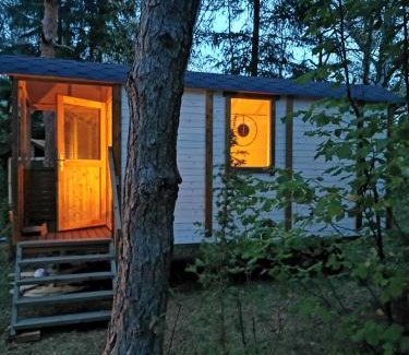 Saaremaa Other | Ränduri Pesa Paiveli koplis