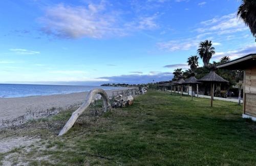 Folelli Apartment | Résidence costa d'oro HYPER CENTRE DE FOLELLI