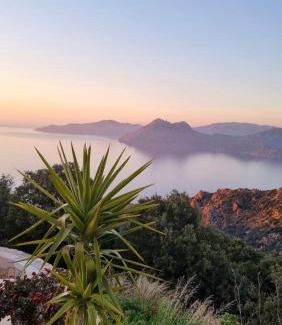 Piana Apartment | Résidence Le Bella Vista