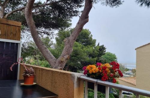 La Franqui Apartment | Résidence le Formentor