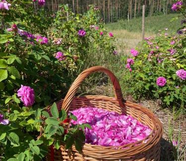 gmina Osiek House | Różana Zagroda Agroturystyka