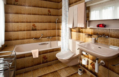 Daellikon Apartment | R 1151 Liam’s Standard Double Room With Half Board, Garden View & Central Heating