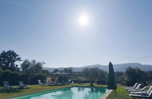 Seia House | Raízes da Vinha - Quartos & Chalé na Serra da Estrela