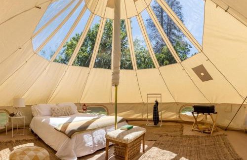 Boss Other | Radiant Stargazing Bell Tent Oasis Near Sinking Creek, Missouri