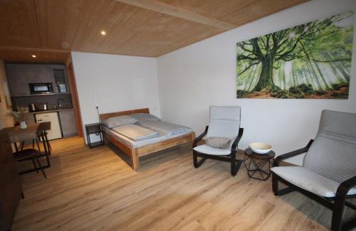 Hechingen Apartment | Raichberg Appartements