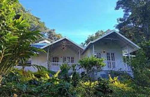 Devikolam Cottage | Rain Forest Resort - Munnar