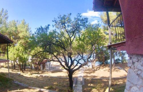 Ozdere Hotel | Rainbow Bay Ozdere Nature and Beach Hotel