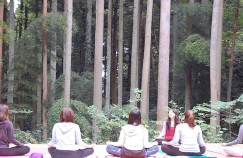 Isumi RV Rental | Rainbow Valley private camping cafe and 5 huts in/Isumi City Chiba