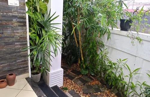 Fort Kochi Villa | Raindrop Fort kochi