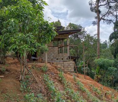 Kotapola Hotel | Rainforest cabin