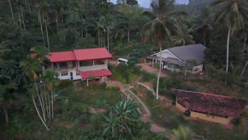 Kotapola Hotel | Rainforest Holiday Inn