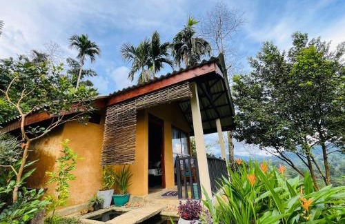 Kotapola Cabin | Rainforest Nature House