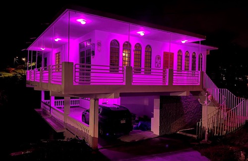 Guzman Abajo House | Rainforest Relaxation at Casa Golden Coqui