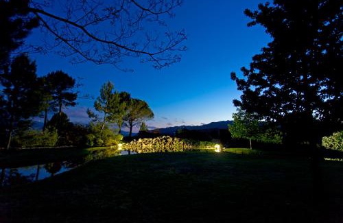 Beijos House | Raizes e Particulas