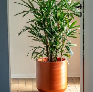 Spisska Nova Ves Apartment | Raj v Slovenskom Raji 2 samostatné apartmány