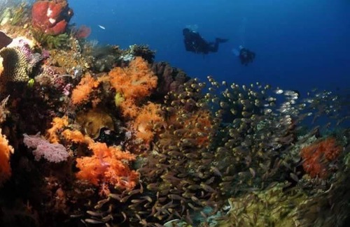 Raja Ampat House | Raja Ampat dive tour