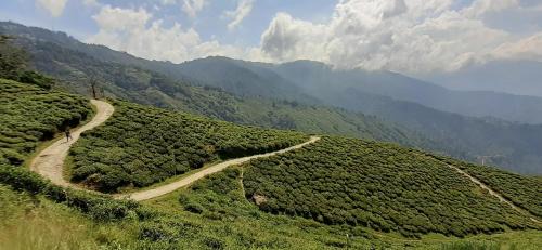 Darjeeling Cabin | Rajbari Farms