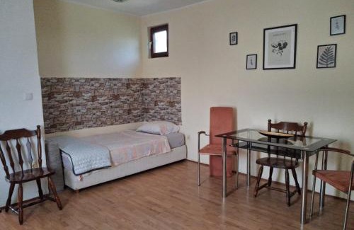 Bela Crkva Apartment | Rajj