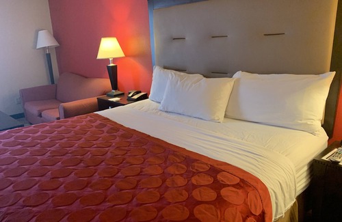 Gainesville Hotel | Ramada by Wyndham Gainesville