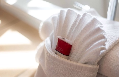 Surrey Hotel | Ramada by Wyndham Surrey/Langley