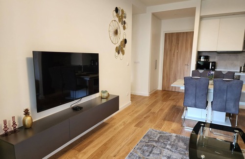 Sarajevska Apartment | Ramonda Apartment