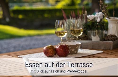 Steinberg Apartment | RamosHansenHof Fewo Hofglück 4Pers mit Hund