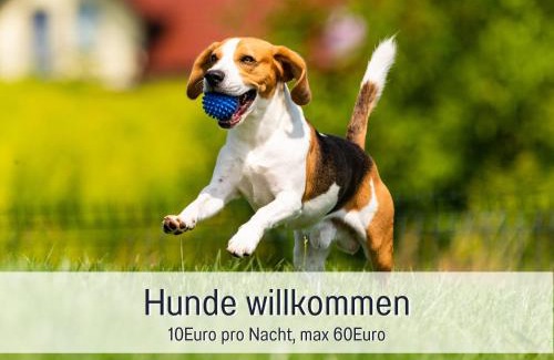 Steinberg Apartment | RamosHansenHof Fewo Hofglück 4Pers mit Hund