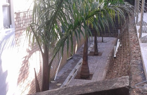 Ramsgate South House | Ramsgate Tropical Retreat