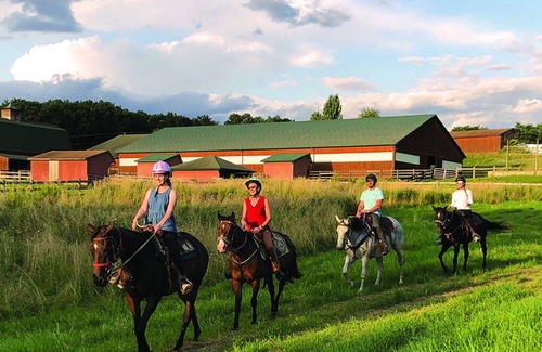 Nunda Apartment | Ranch-Hand Cabin Near Letchworth State Park
