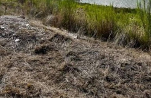 Junction Cabin | Ranch House on the river! 3-Bedroom, 1-Bathroom