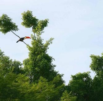 Bariri House | Rancho completo com vista na beira do rio