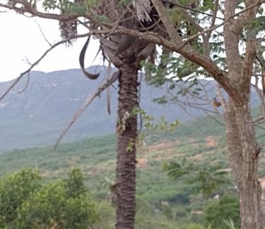 Abaira House | Rancho de montanha