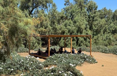 San Antonio de las Minas House | Rancho Dominique Valle de Guadalupe