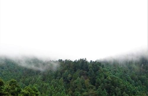 Tlalpan Cabin | Rancho EL PARAÍSO AJUSCO