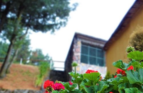 Tlalpan Cabin | Rancho EL PARAÍSO AJUSCO