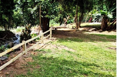 Orocovis RV Rental | "Rancho Mariposa" (camping area only) Butterfly Ranch