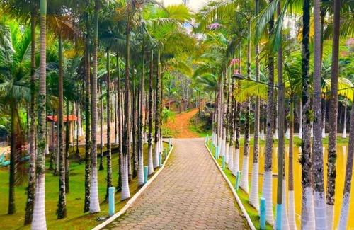 Camboriu House | RanchoDju - Camboriú-SC