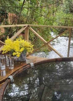 Llifen House | Ranco Lodge