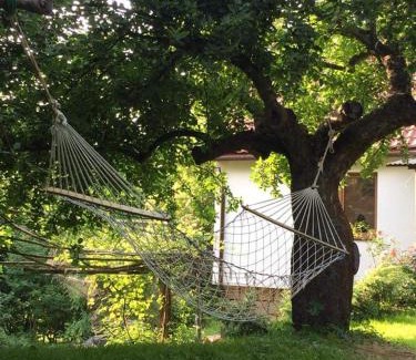 Raciechowice Cabin | Ranczo Dziki Sad
